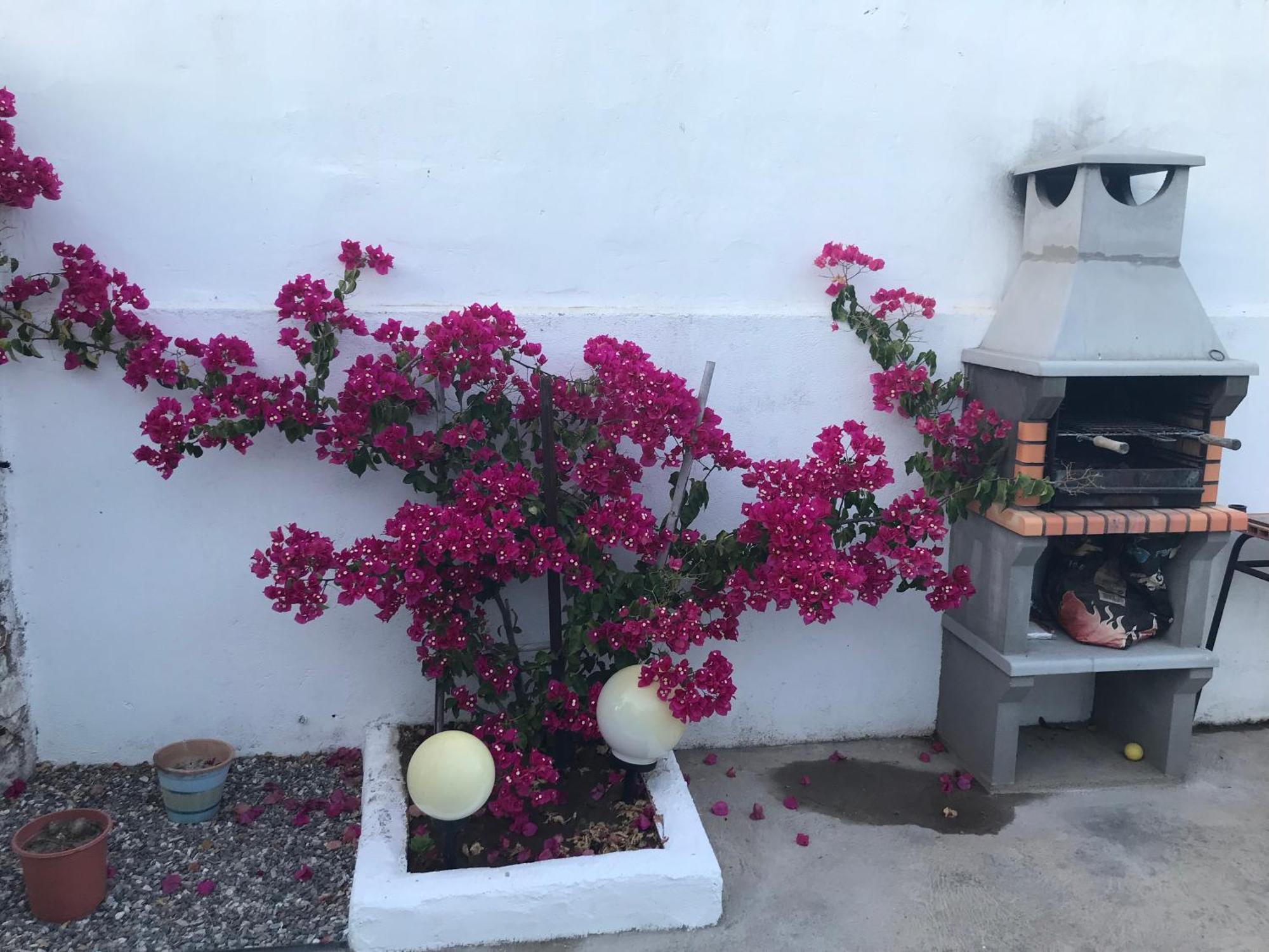 Apartamento Casa Santo Antonio Pias  Exterior foto